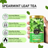 Teacurry Spearmint Tea (25 Tea Bags) - Trio Pack