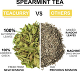 Teacurry Spearmint Tea (25 Tea Bags) - Trio Pack