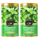 Teacurry Spearmint Tea (25 Tea Bags) - Duo Pack