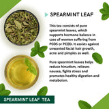 Teacurry Spearmint Tea (25 Tea Bags) - Trio Pack
